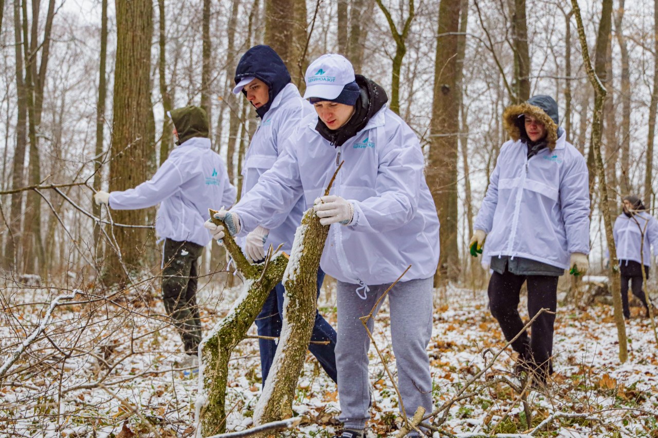 Environmental action. Фотосессия в Ясной Поляне. Дерево любви на Ясной Поляне упал.